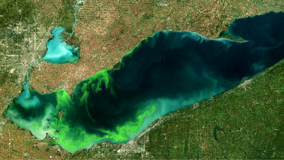 Lake Erie Algae Bloom