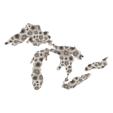 Load image into Gallery viewer, Great Lakes Proud Petoskey Stone Decal
